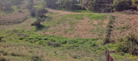 Hotel en Kranidi, Greece 12000 m² No. 7703 2