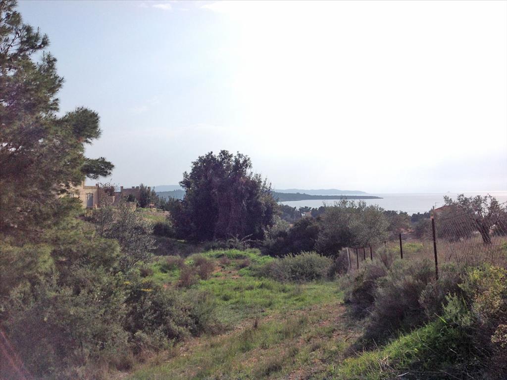 Hotel en Kranidi, Greece 12000 m² No. 7703