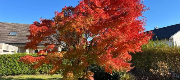 Casa T3 em Wolfsburg, Germany N.º 29846 14