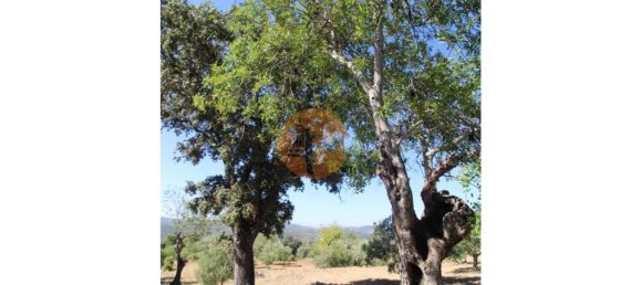 Grundstück in Sao Bras de Alportel, Portugal 6946m², Nr. 49495 12