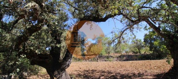 Grundstück in Sao Bras de Alportel, Portugal 6946m², Nr. 49495 16