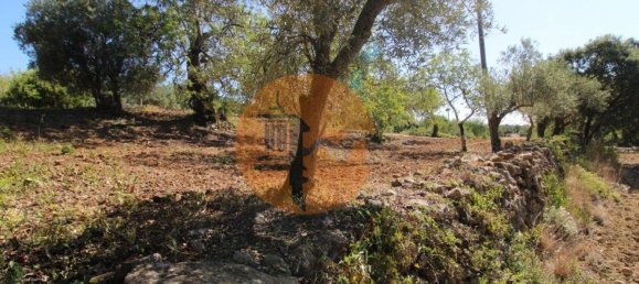 Grundstück in Sao Bras de Alportel, Portugal 6946m², Nr. 49495 14