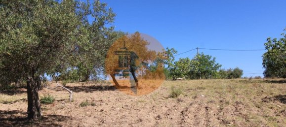 Grundstück in Sao Bras de Alportel, Portugal 6946m², Nr. 49495 9