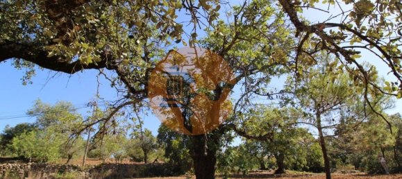 Grundstück in Sao Bras de Alportel, Portugal 6946m², Nr. 49495 17