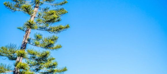 7 rooms Villa in Alicante, Spain No. 55030 96