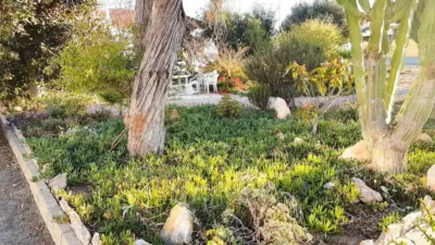 2 bedrooms House in Torrevieja, Spain No. 240676