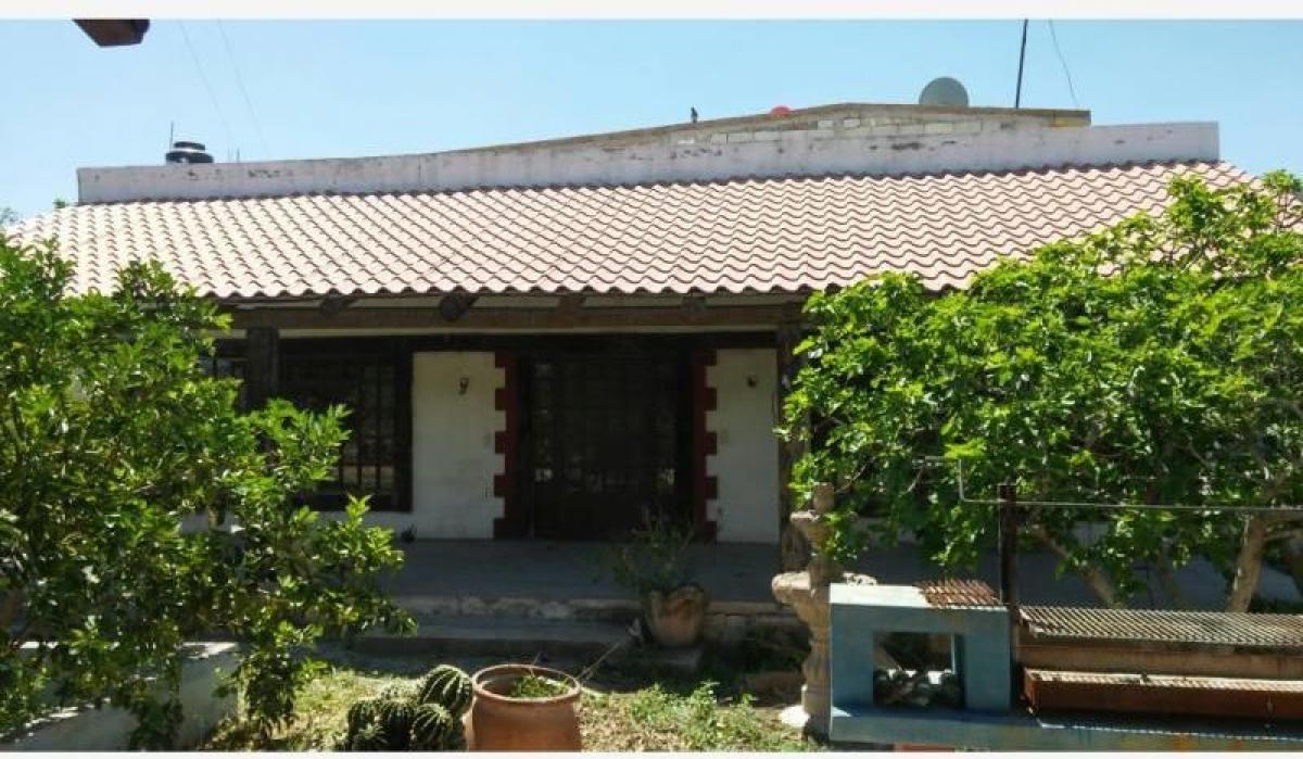 استوديو في Ciudad Lerdo, Mexico رقم 171379