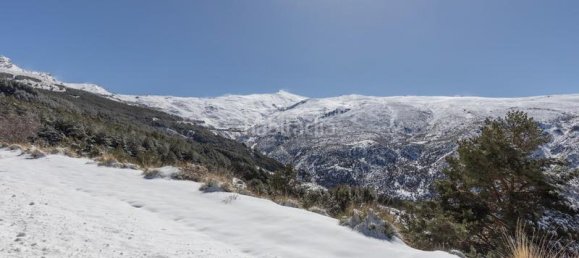 1 bedroom Apartment in Sierra Nevada, Spain No. 171168 30
