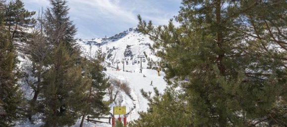1 bedroom Apartment in Sierra Nevada, Spain No. 171168 28