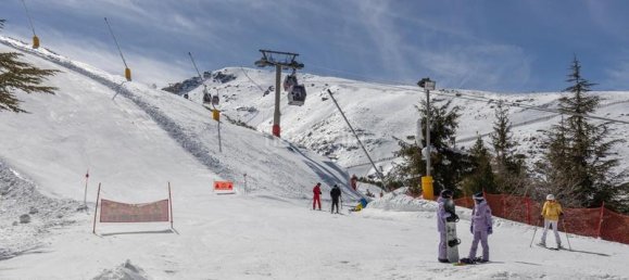 1 bedroom Apartment in Sierra Nevada, Spain No. 171168 29