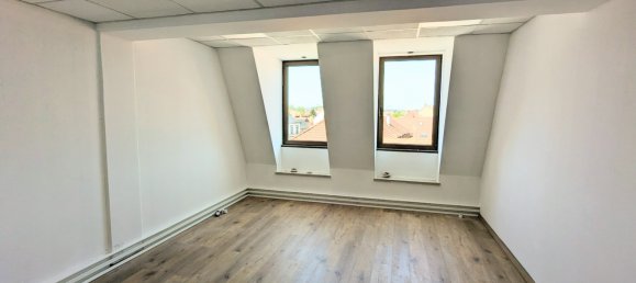 132m² Commercial property in Haguenau, France No. 72832 3