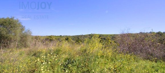 1140000m² Land in Tavira, Portugal No. 73317 8