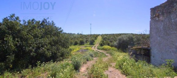1140000m² Land in Tavira, Portugal No. 73317 18