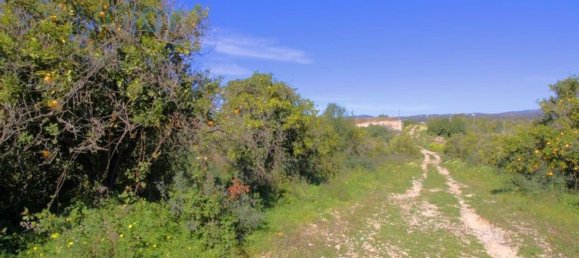 1140000m² Land in Tavira, Portugal No. 73317 9