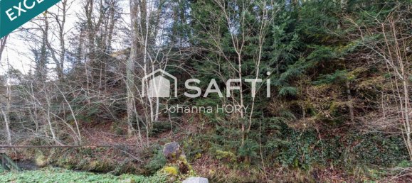 2 chambres Maison à Husseren-Wesserling, France No. 247965 14