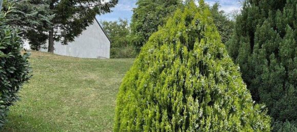 3-salle Maison de ville à Eisenstadt Umgebung, Austria No. 201960 3