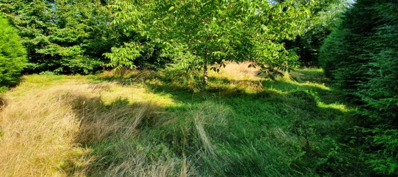 3 Schlafzimmer Haus in Eteignieres, France, Nr. 99519 21