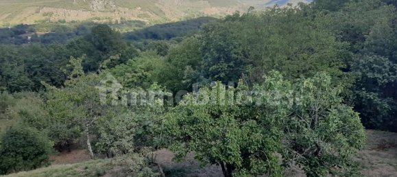 2 Schlafzimmer Villa in Carpineto Romano, Italy, Nr. 312906 10