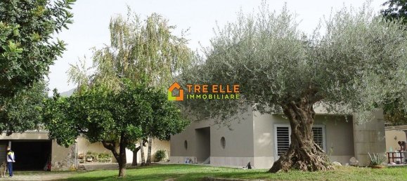 5 bedrooms Villa in Comiziano, Italy No. 88786 41