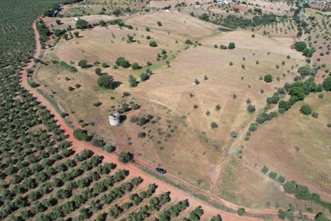  Land in Evora, Portugal No. 258776