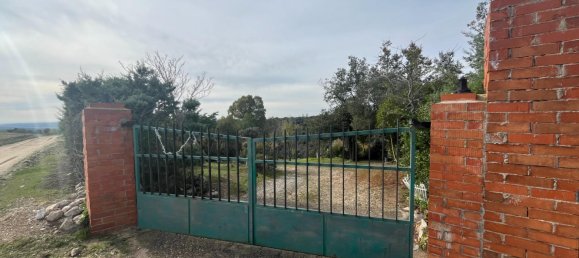 3 bedrooms House in El Molar, Spain No. 126449 22