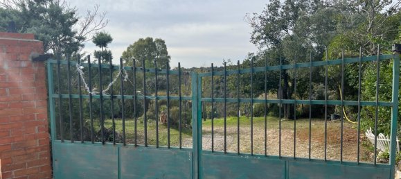 3 bedrooms House in El Molar, Spain No. 126449 2