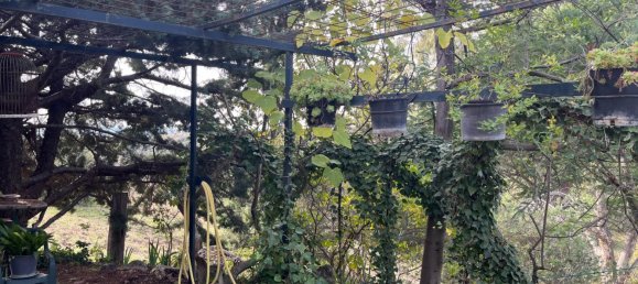 3 bedrooms House in El Molar, Spain No. 126449 5