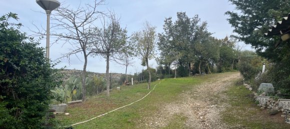 3 bedrooms House in El Molar, Spain No. 126449 3