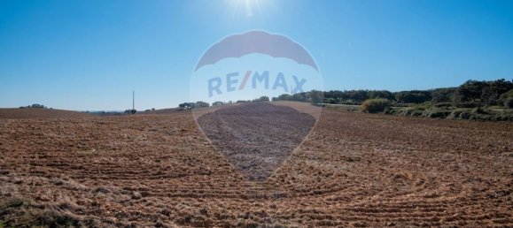 Terrain à Santiago do Cacem, Portugal 669548m² No. 55892 16