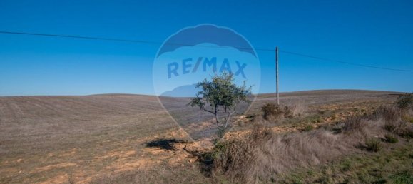 Terrain à Santiago do Cacem, Portugal 669548m² No. 55892 12