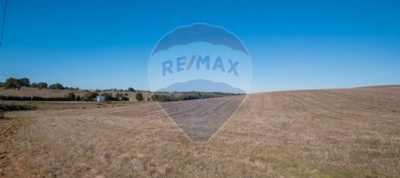 Terrain à Santiago do Cacem, Portugal 669548m² No. 55892 15