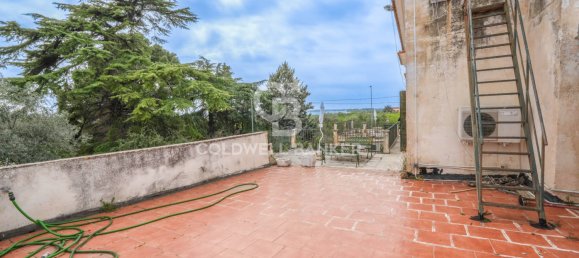 4 bedrooms House in Bitonto, Italy No. 65980 19