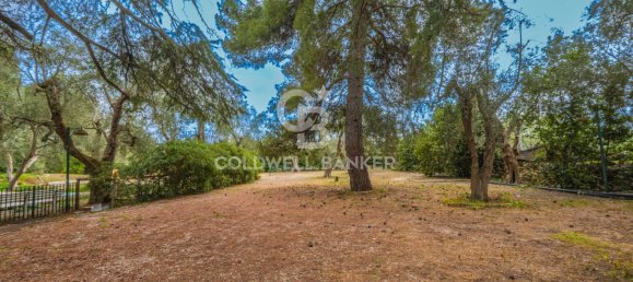 4 bedrooms House in Bitonto, Italy No. 65980 27