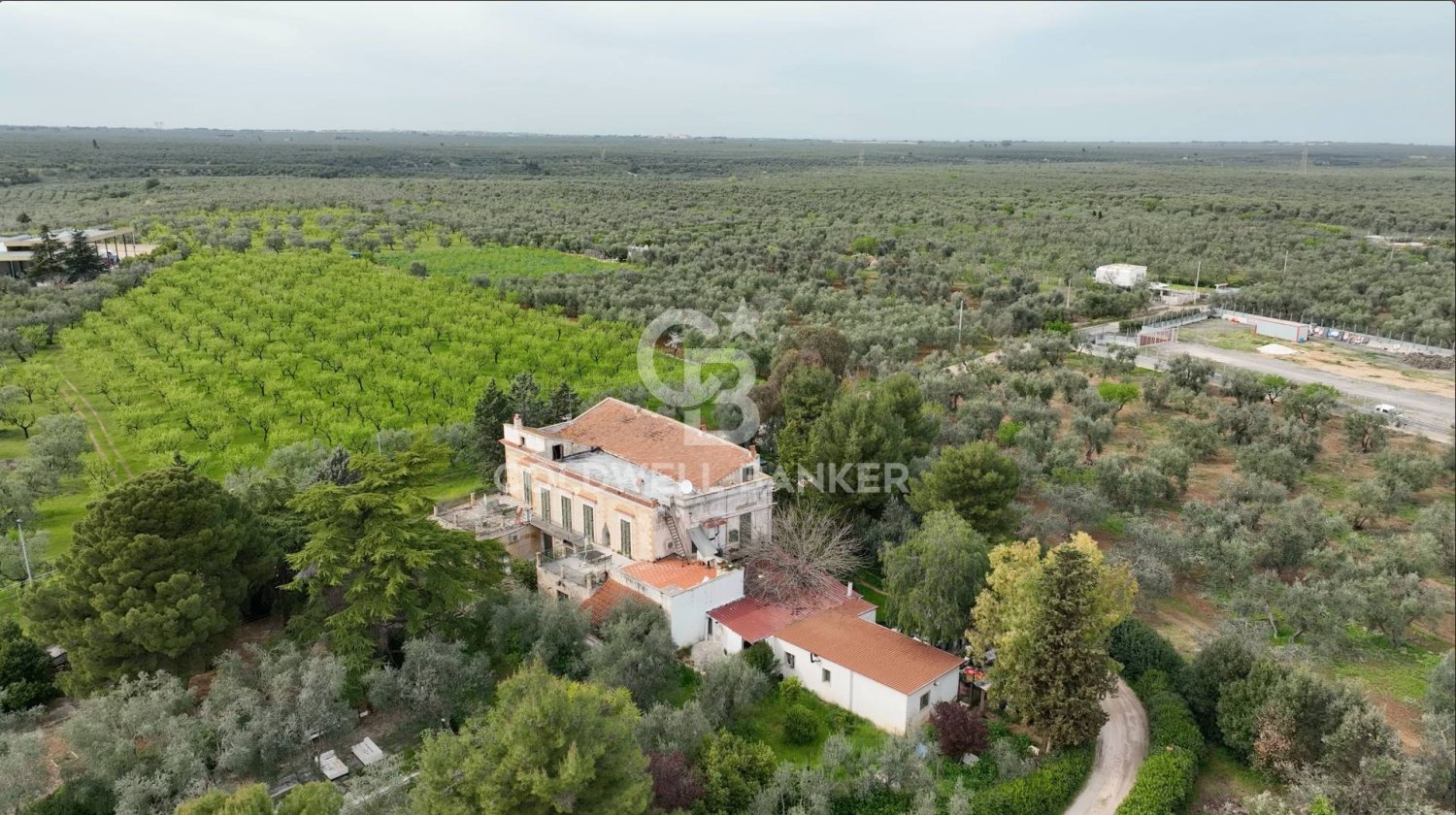 4 bedrooms House in Bitonto, Italy No. 65980