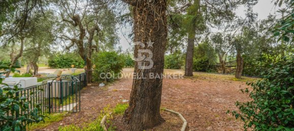 4 bedrooms House in Bitonto, Italy No. 65980 28