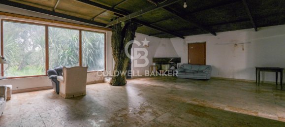 4 bedrooms House in Bitonto, Italy No. 65980 3