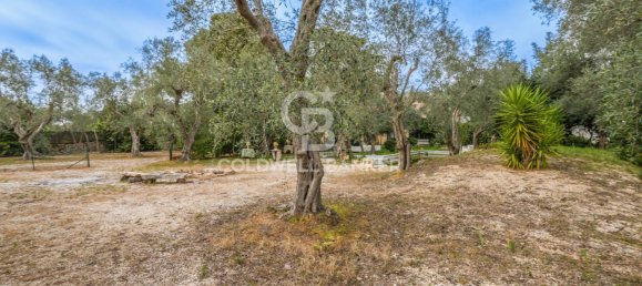 4 bedrooms House in Bitonto, Italy No. 65980 30