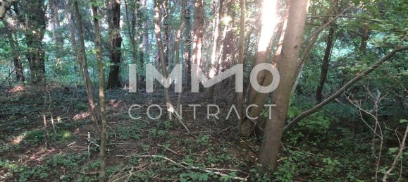 Terrain à Pressbaum, Austria No. 14240 4