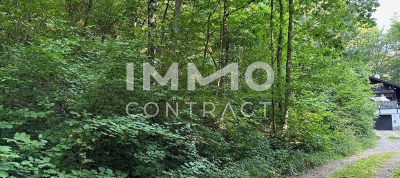 Terrain à Pressbaum, Austria No. 14240 2