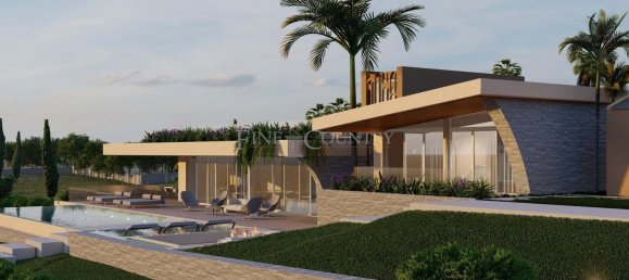 15000m² Land in Loule, Portugal No. 100032 4