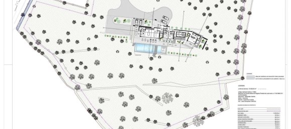 15000m² Land in Loule, Portugal No. 100032 13