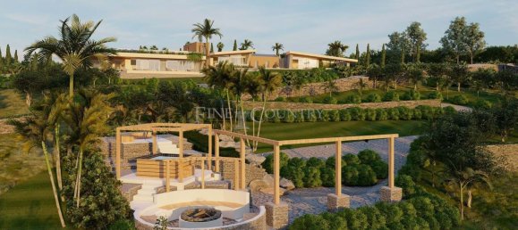 15000m² Land in Loule, Portugal No. 100032 6