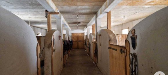  Commercial property in Mank, Austria No. 39382 8