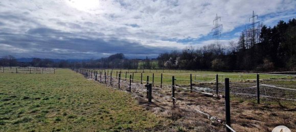  Commercial property in Mank, Austria No. 39382 14