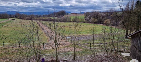  Commercial property in Mank, Austria No. 39382 3