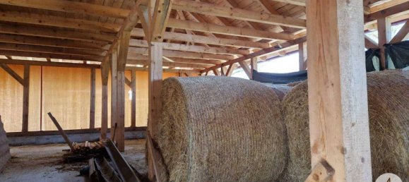  Commercial property in Mank, Austria No. 39382 29