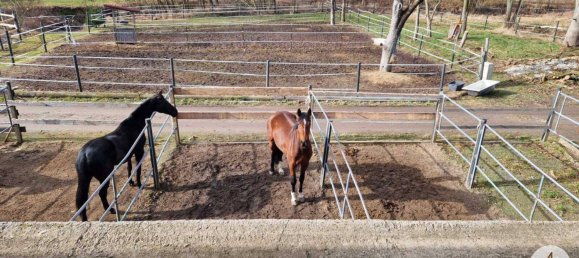  Commercial property in Mank, Austria No. 39382 46