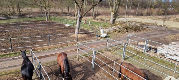  Commercial property in Mank, Austria No. 39382 43