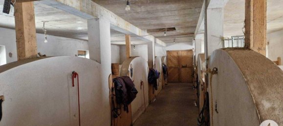  Commercial property in Mank, Austria No. 39382 33