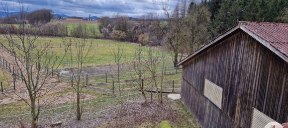  Commercial property in Mank, Austria No. 39382 49